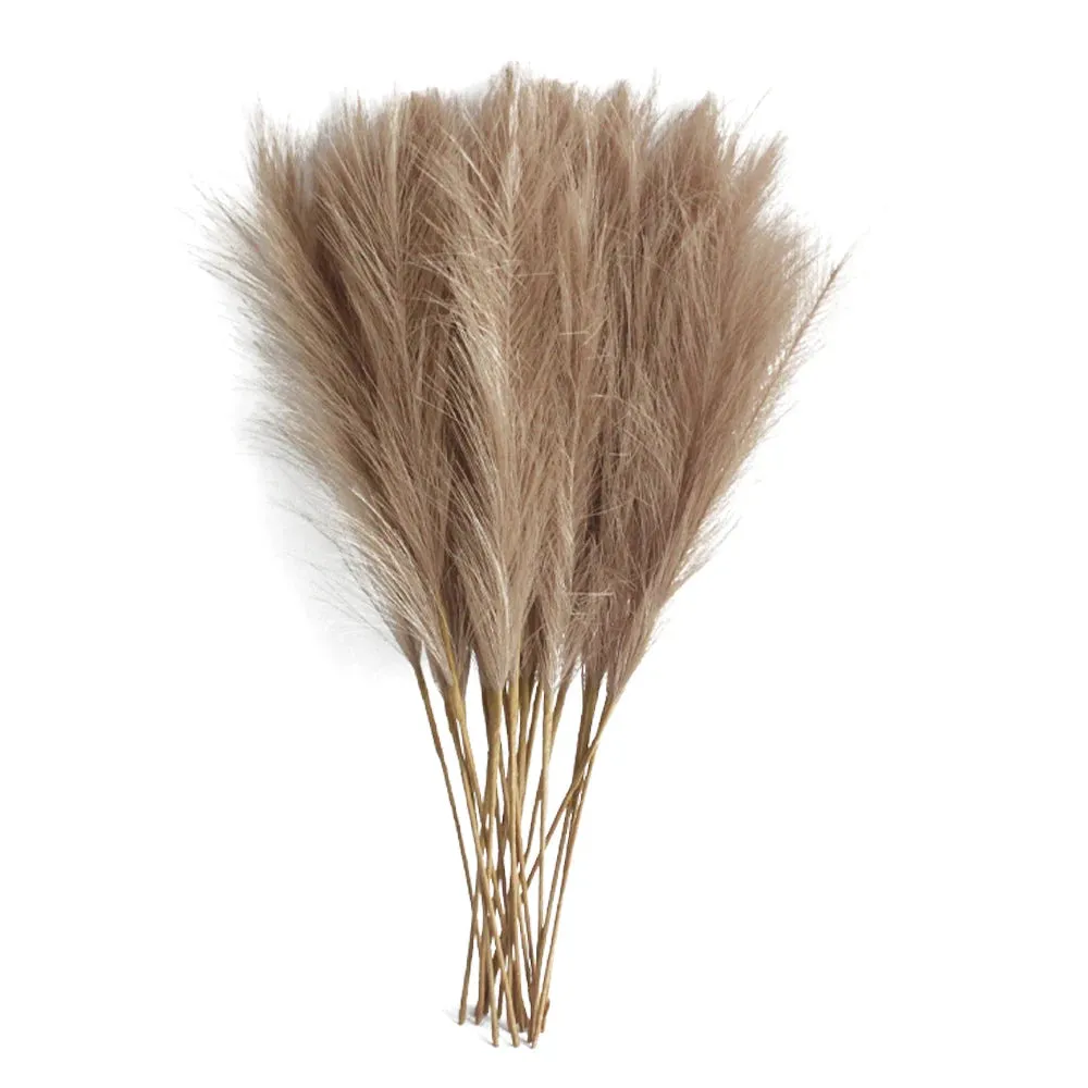 10PCS Fluffy Pampas Grass