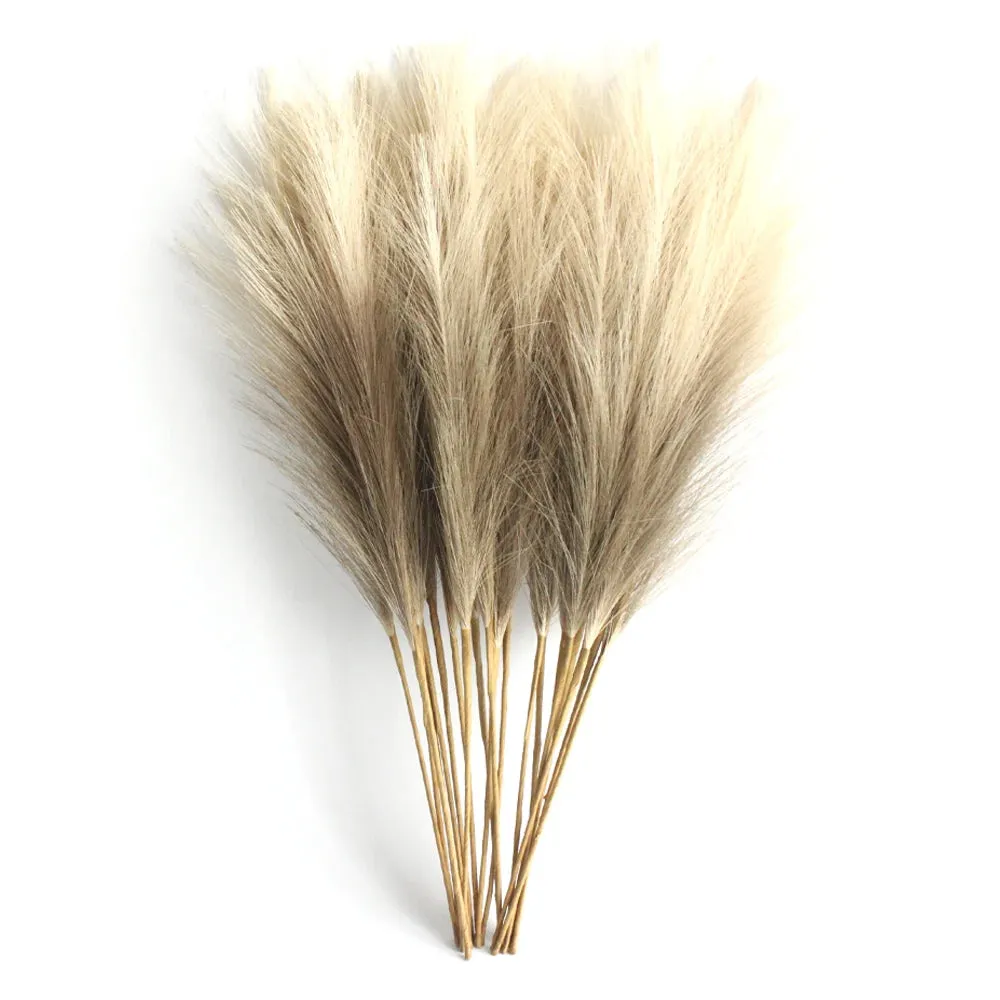 10PCS Fluffy Pampas Grass
