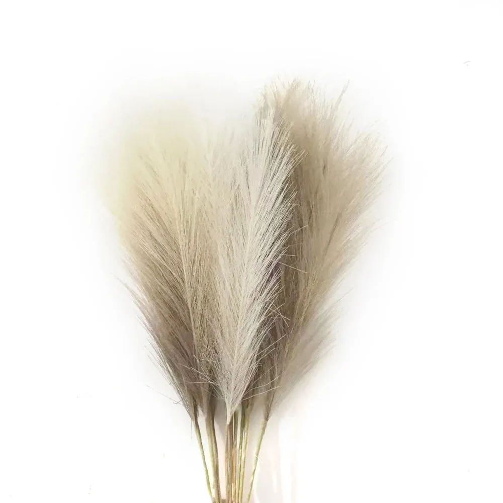 10PCS Fluffy Pampas Grass