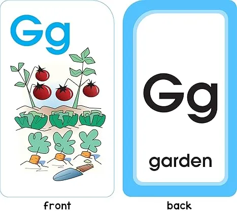 Alphabet Fun : School Zone Flashcards