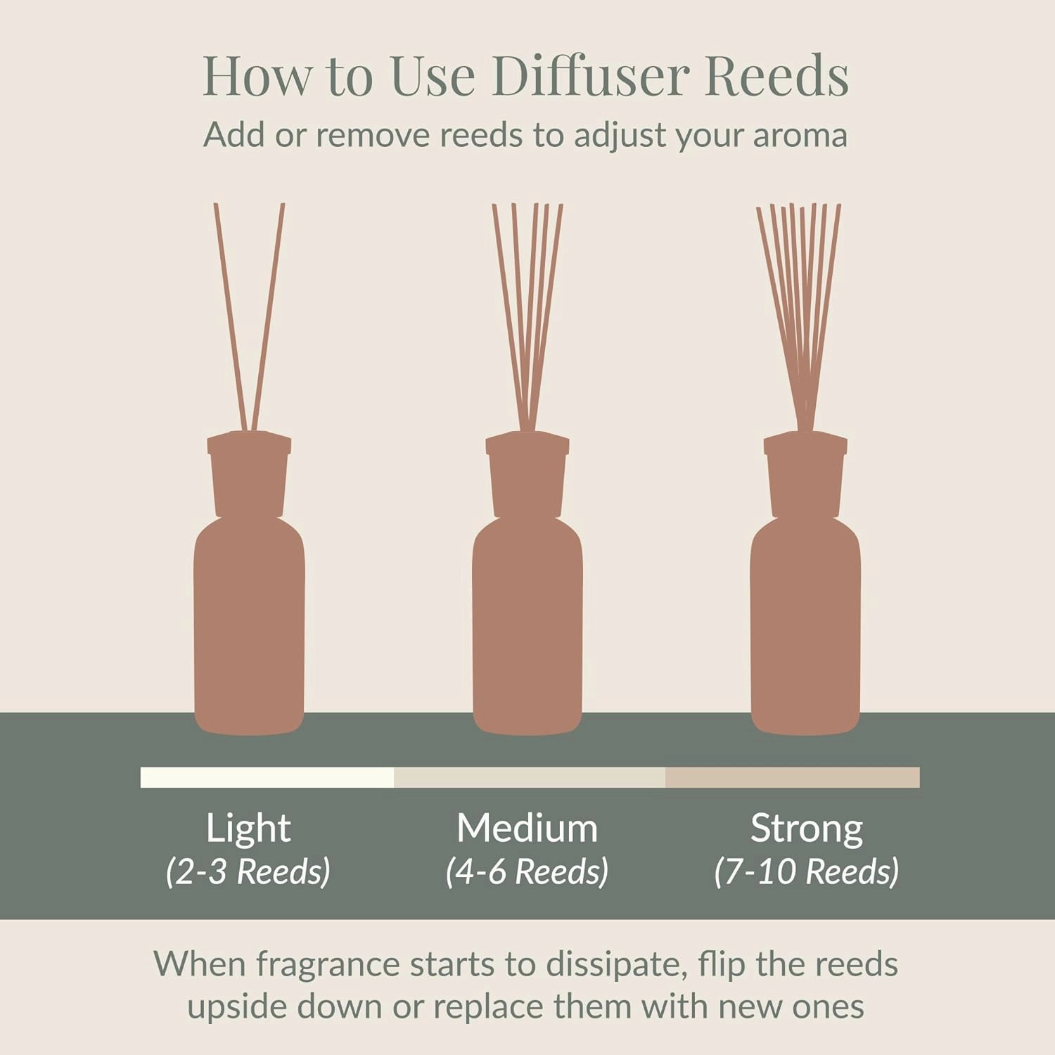 Archipelago Botanicals Mango Tangerine Reed Diffuser Oil Refill, Home Fragrance Oil for Diffuser, Long-Lasting Natural Home Fragrance, Diffuser Oil Scents, 7.85 Fl Oz