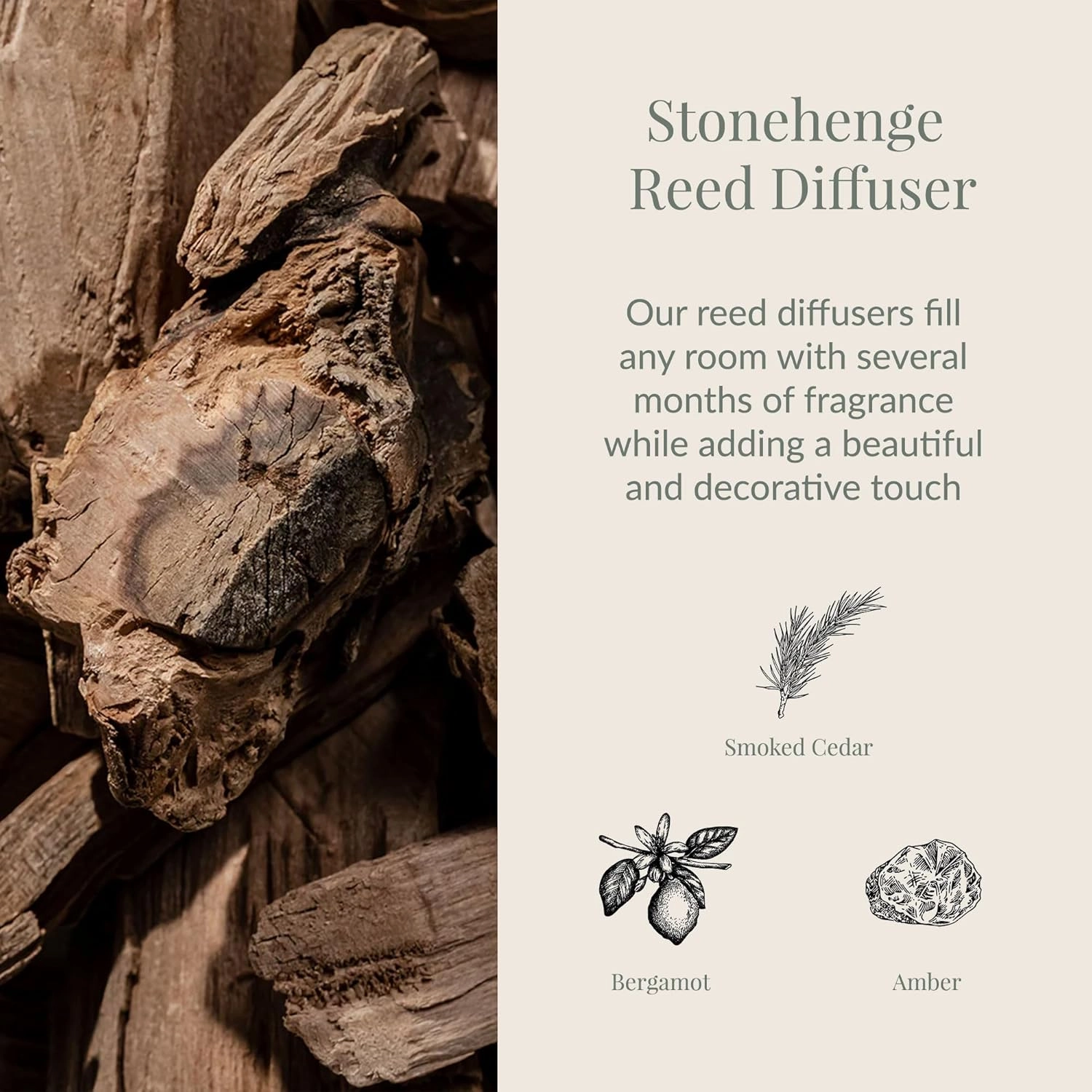Archipelago Botanicals Stonehenge Reed Diffuser, Home Fragrance Reed Diffuser, Includes Fragrance Oil, Frosted Glass Vessel & 10 Diffuser Reeds, Perfect for Home, Office or Gift, 7.6 Fl Oz