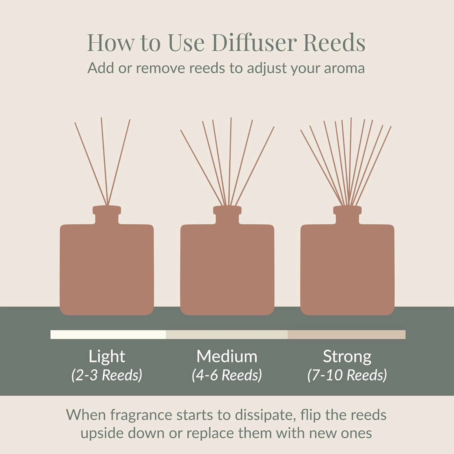 Archipelago Botanicals Stonehenge Reed Diffuser, Home Fragrance Reed Diffuser, Includes Fragrance Oil, Frosted Glass Vessel & 10 Diffuser Reeds, Perfect for Home, Office or Gift, 7.6 Fl Oz
