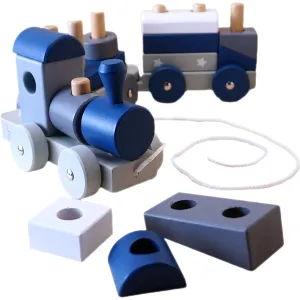 Curious Melodies Wooden Toys | Sorting and Stacking - 3D Puzzle Blocks Pull Train | Developmental Activity Playset