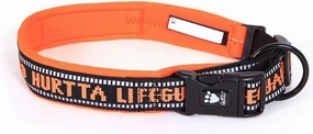 Hurtta Collection Padded Dog Collar, 12-Inch, Orange