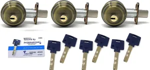 Interactive  High Security Grade 1 Single Cylinder Deadbolt. B60N Body. Set of 3 Deadbolts Keyed Alike w/ Key Duplication Card and 6 Keys, Antique Brass