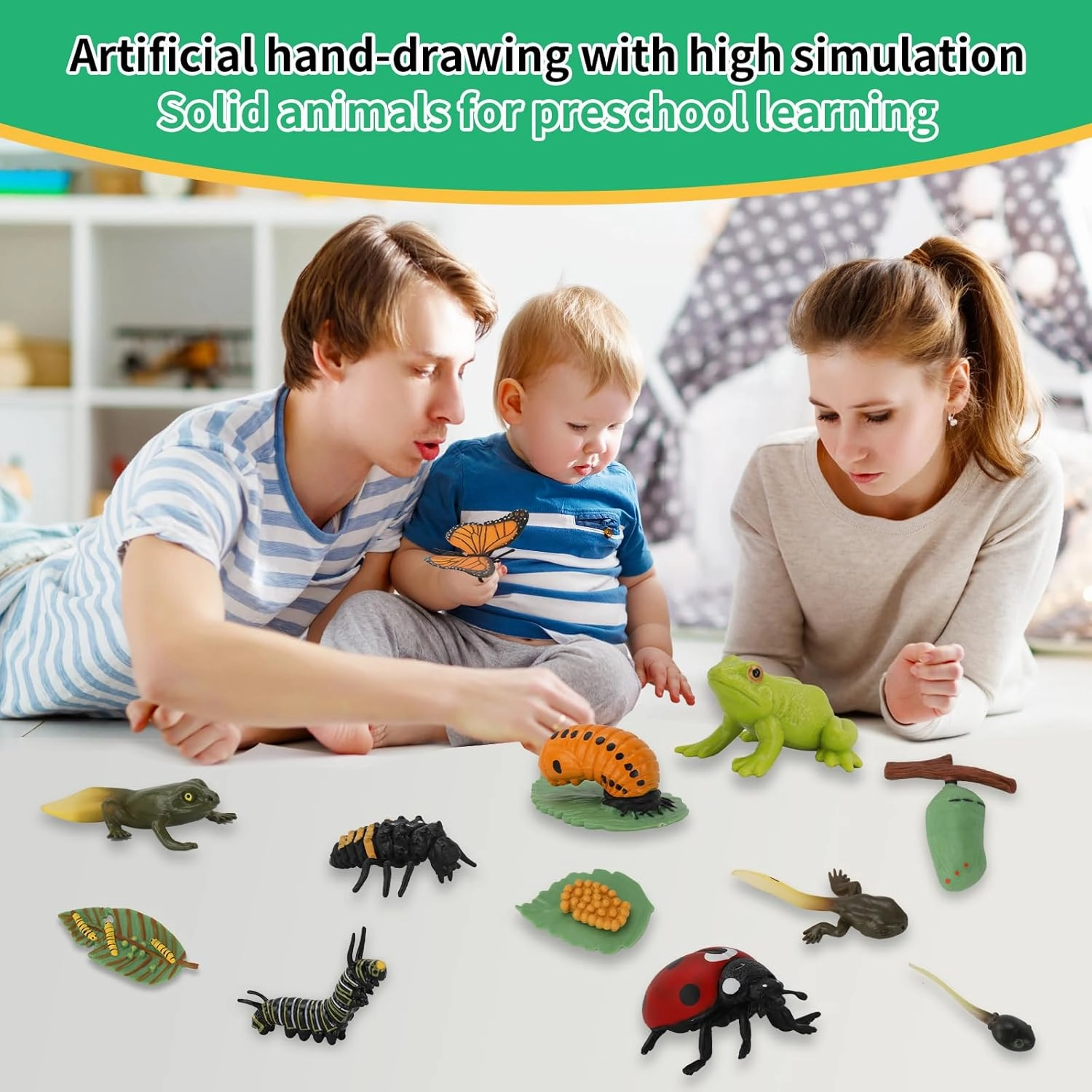 Montessori Life Cycle Learning & Education Toys - Plastic Insect Ladybug, Monarch Butterfly, and Tadpole-to-Frog Kit for Kids, Learning Activities for Early Education