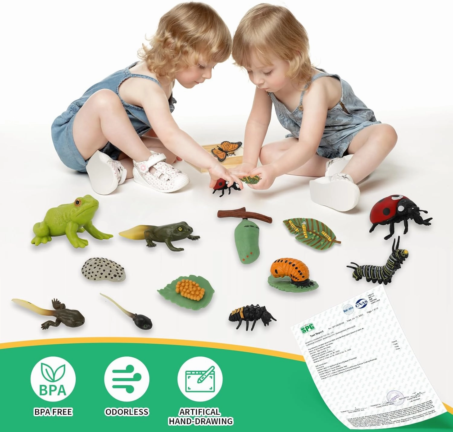 Montessori Life Cycle Learning & Education Toys - Plastic Insect Ladybug, Monarch Butterfly, and Tadpole-to-Frog Kit for Kids, Learning Activities for Early Education
