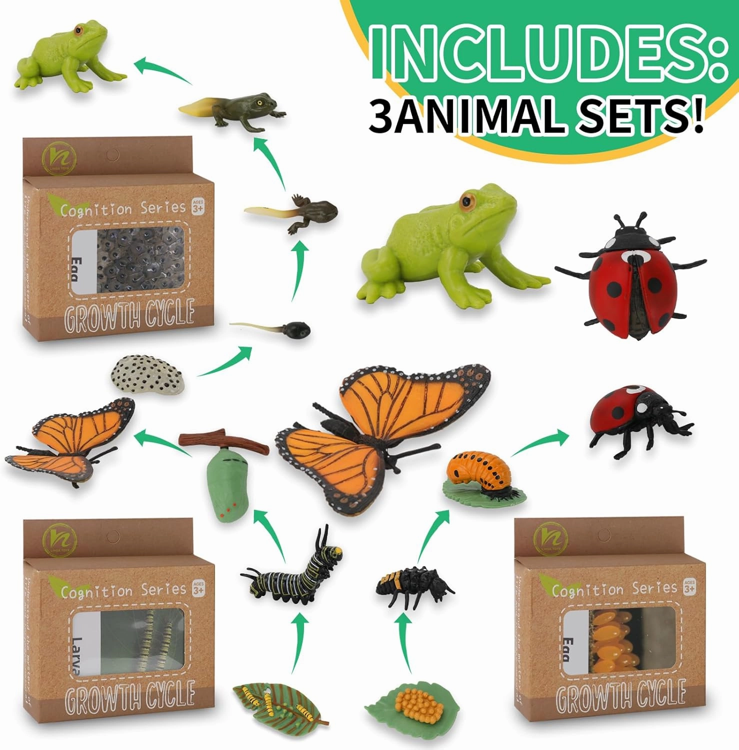 Montessori Life Cycle Learning & Education Toys - Plastic Insect Ladybug, Monarch Butterfly, and Tadpole-to-Frog Kit for Kids, Learning Activities for Early Education