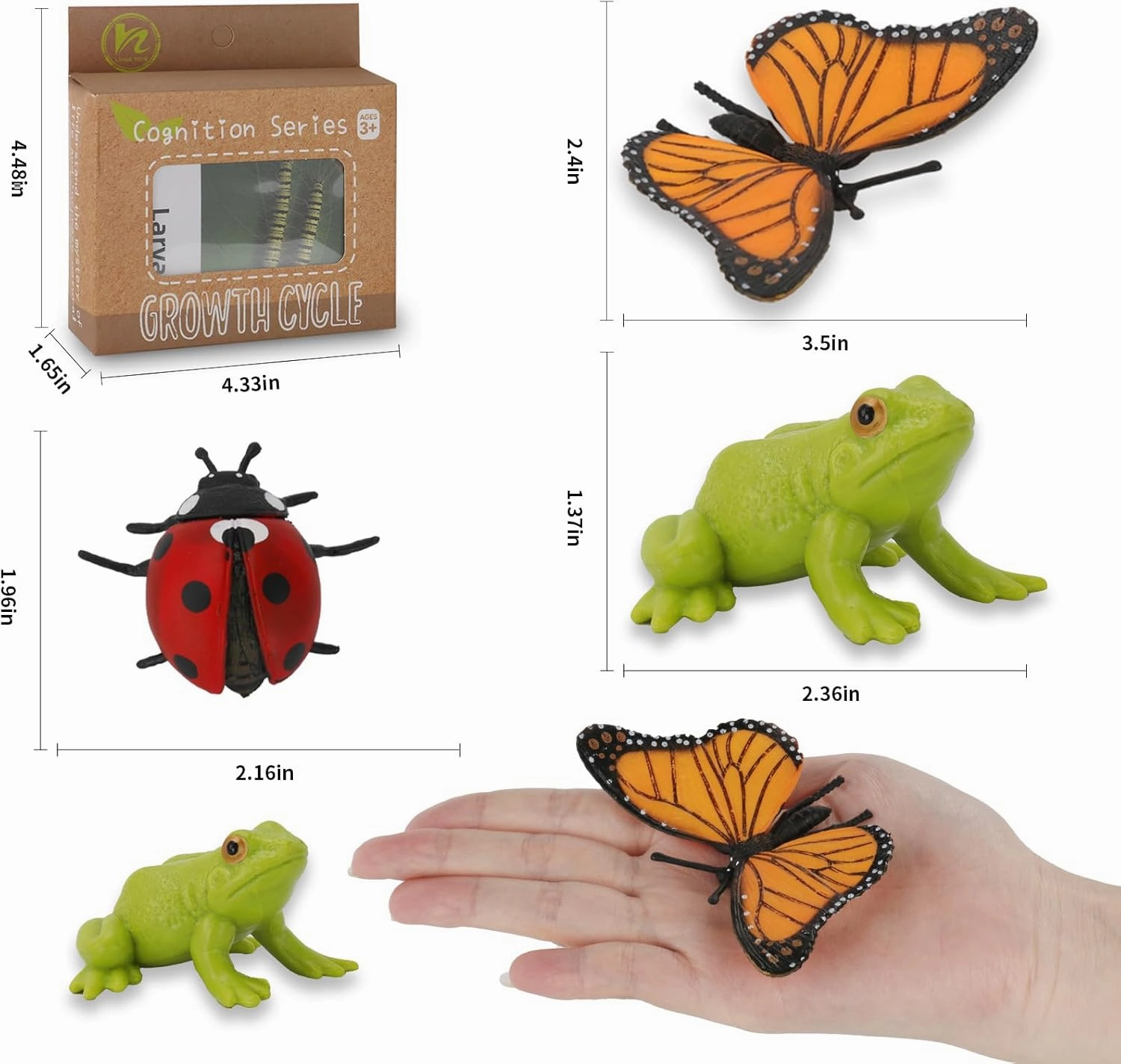 Montessori Life Cycle Learning & Education Toys - Plastic Insect Ladybug, Monarch Butterfly, and Tadpole-to-Frog Kit for Kids, Learning Activities for Early Education