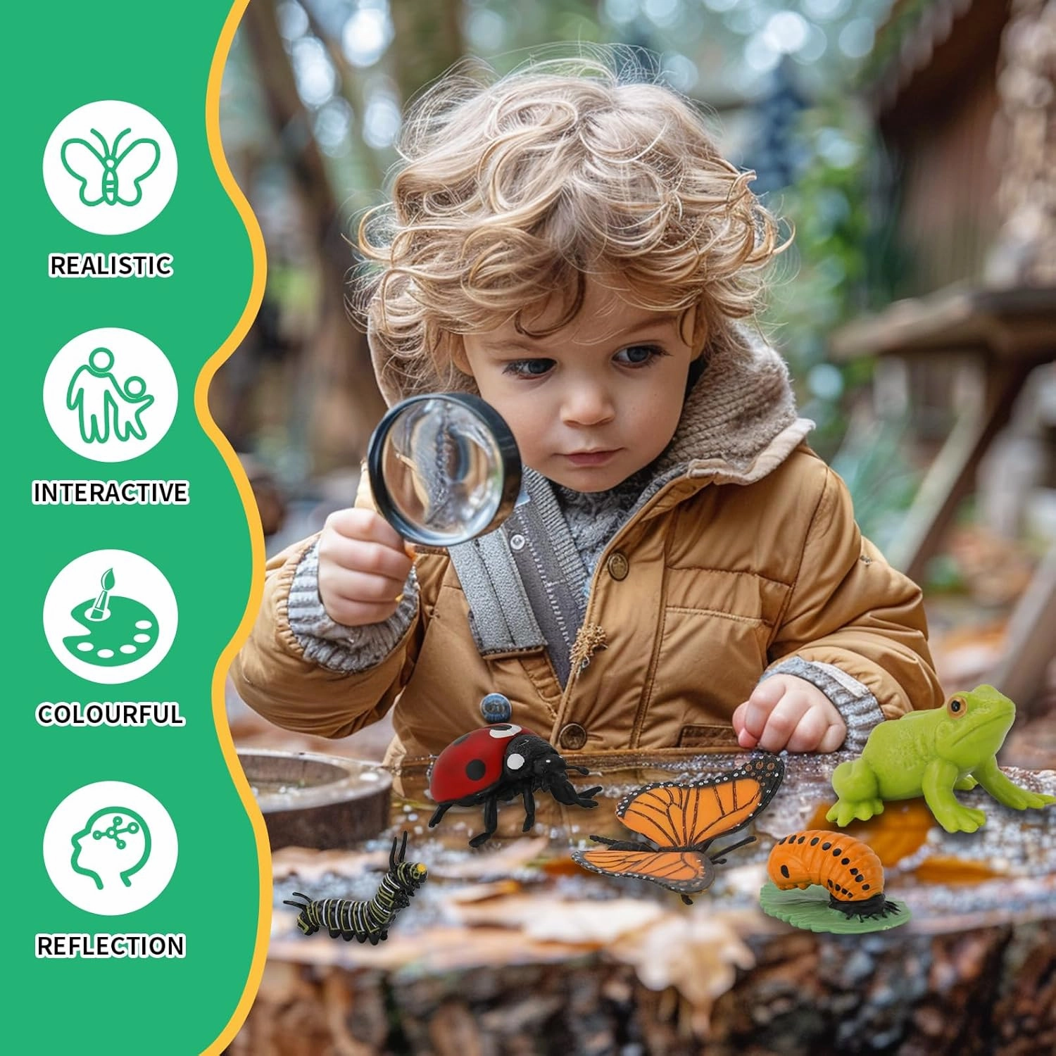 Montessori Life Cycle Learning & Education Toys - Plastic Insect Ladybug, Monarch Butterfly, and Tadpole-to-Frog Kit for Kids, Learning Activities for Early Education