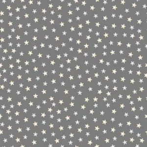 Moonlit Dreams - Tossed Stars Grey