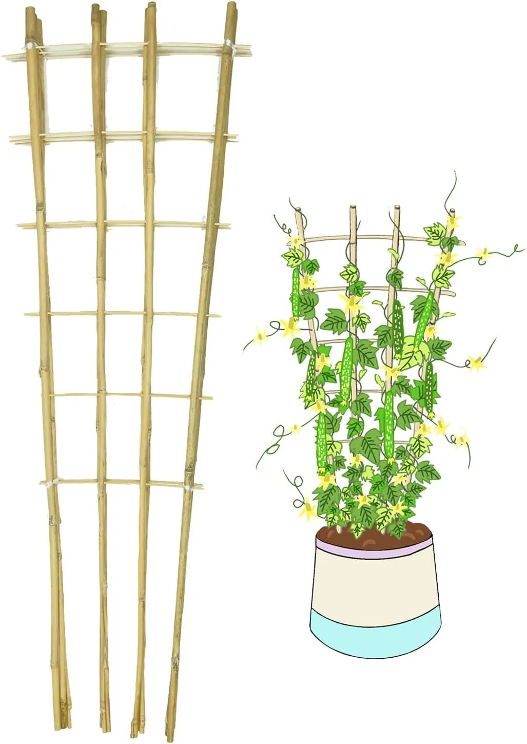 Natural Bamboo Trellis, 4Feet,3Pack,Fan-Shaped Plant Support Trellis for Outdoor and Indoor Potted Climbing Plants,Vegetables, Cucumber, Tomato, Hoya, Wisteria,Ivy,Orchid, Jasmine Monstera, Vine,