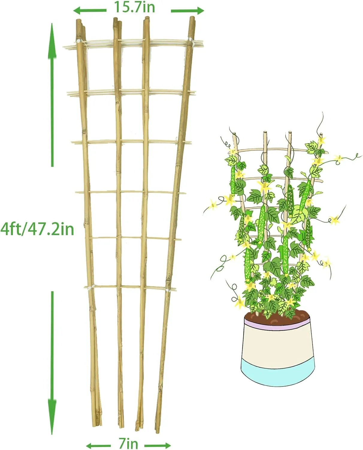 Natural Bamboo Trellis, 4Feet,3Pack,Fan-Shaped Plant Support Trellis for Outdoor and Indoor Potted Climbing Plants,Vegetables, Cucumber, Tomato, Hoya, Wisteria,Ivy,Orchid, Jasmine Monstera, Vine,