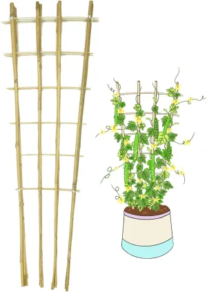 Natural Bamboo Trellis, 4Feet,3Pack,Fan-Shaped Plant Support Trellis for Outdoor and Indoor Potted Climbing Plants,Vegetables, Cucumber, Tomato, Hoya, Wisteria,Ivy,Orchid, Jasmine Monstera, Vine,