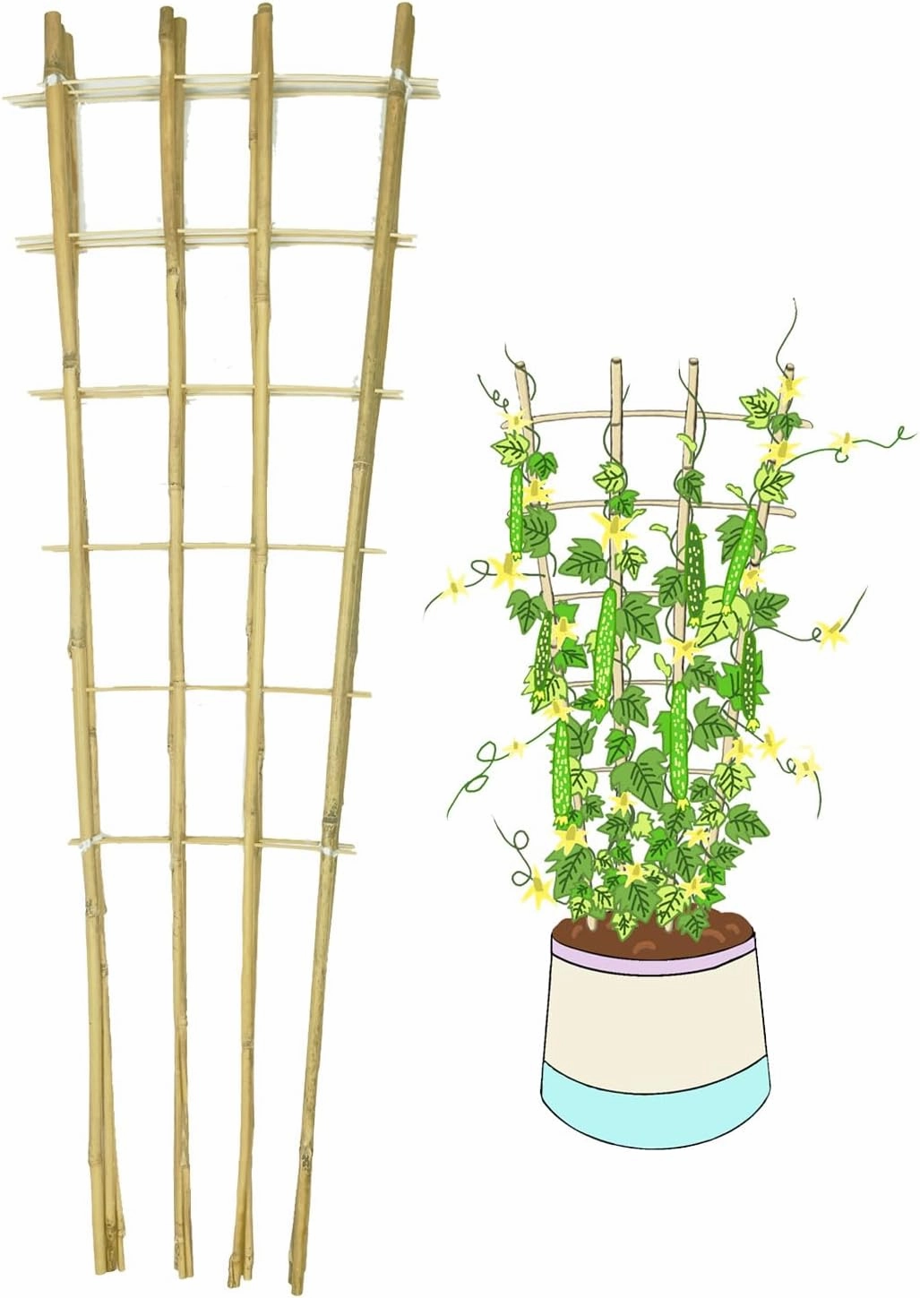 Natural Bamboo Trellis, 4Feet,6Pack,Fan-Shaped Plant Support Trellis for Outdoor and Indoor Potted Climbing Plants,Vegetables, Cucumber, Tomato, Hoya, Wisteria,Ivy,Orchid, Jasmine Monstera, Vine,