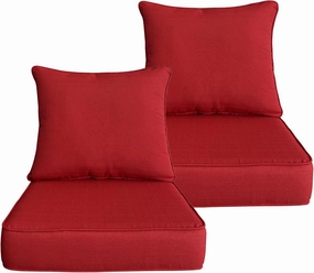 Outdoor/Indoor 22x24 inch Deep Seat Patio Cushions Set of 2 Resilient Foam Filling Water Repellent Stain-Resistant UV Resistant Weather Resistant Patio Cushions Red