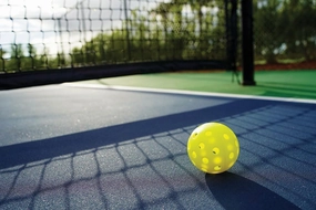 Pickleball Paddles, USAPA Approved Fiberglass Surface Pickleball Set with Pickleball Rackets, Pickle Ball Paddle Set ​for Men Women Wave
