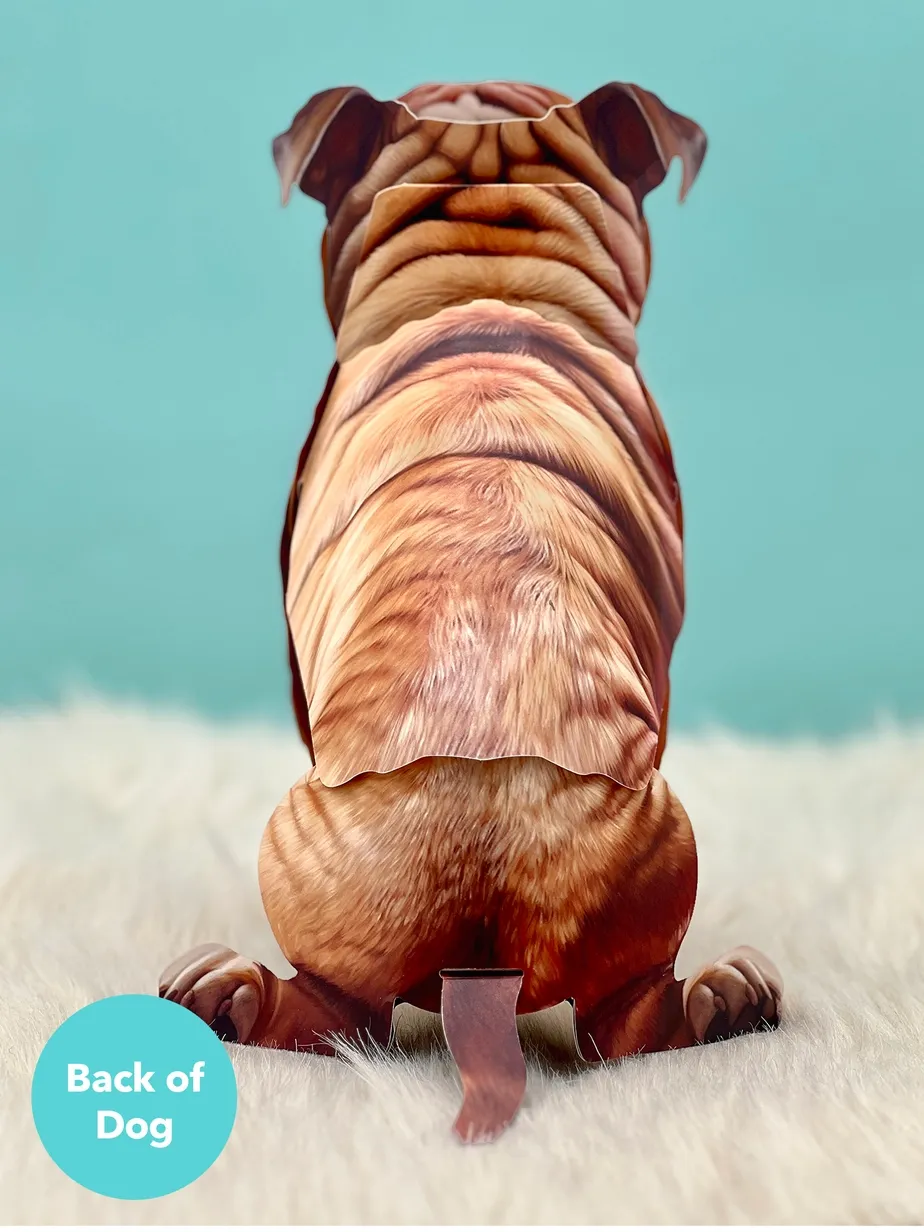 Pop-Up Pets Greeting Card / Click for Full Selection