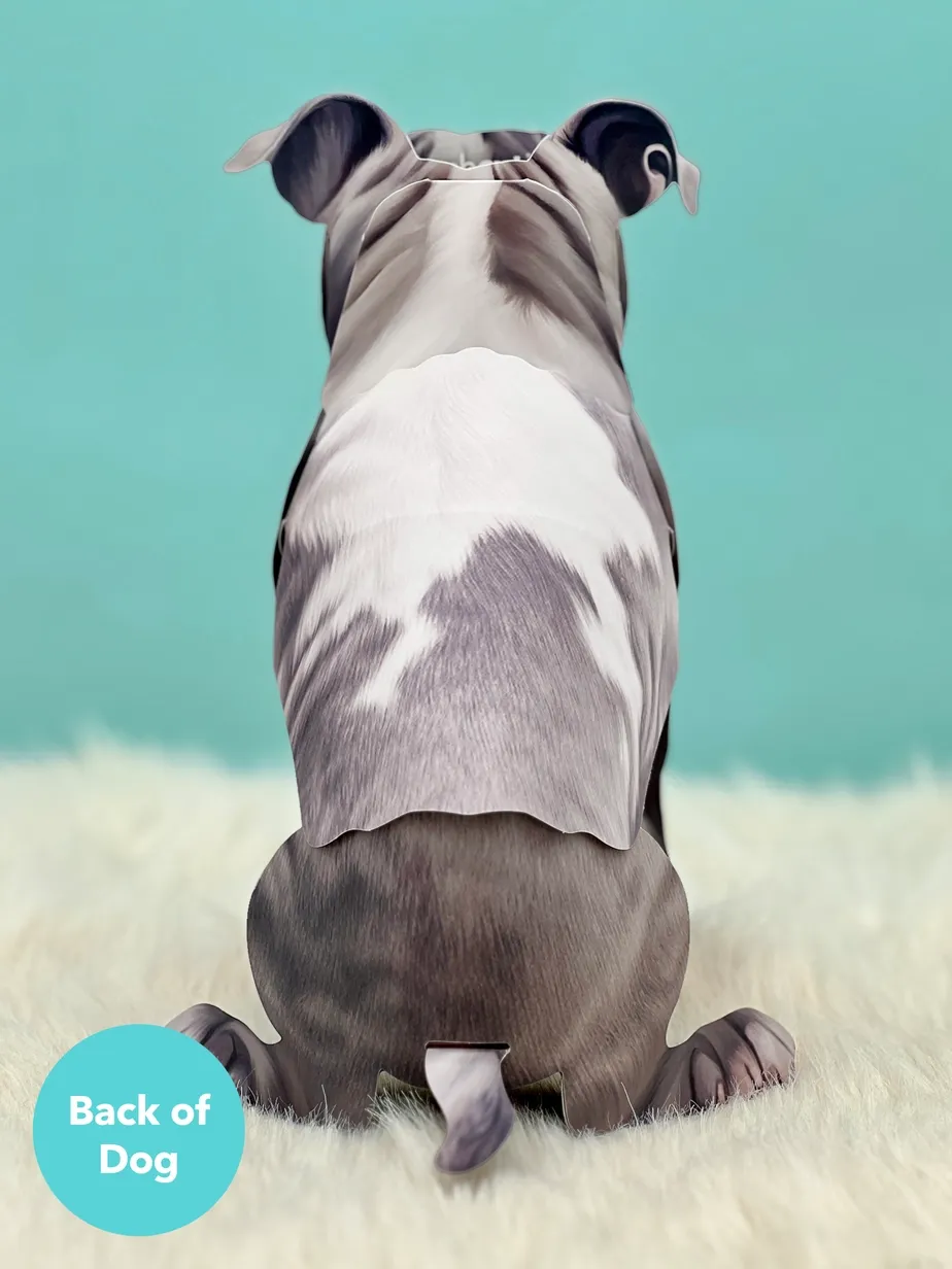 Pop-Up Pets Greeting Card / Click for Full Selection