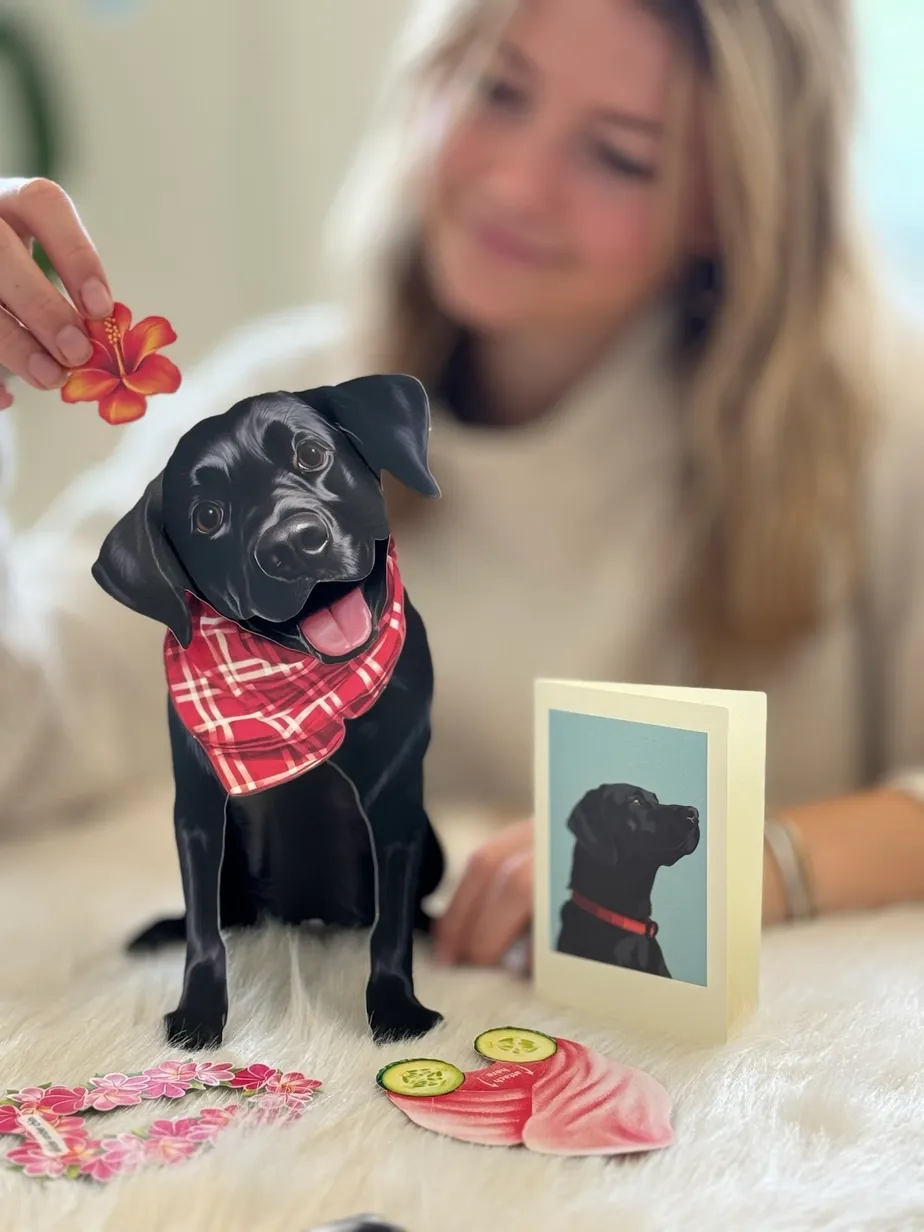 Pop-Up Pets Greeting Card / Click for Full Selection