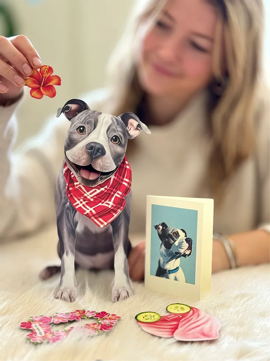 Pop-Up Pets Greeting Card / Click for Full Selection