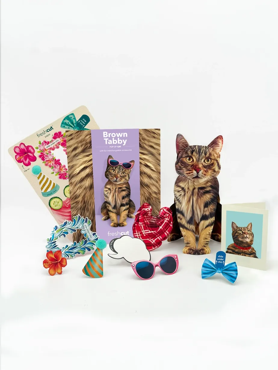 Pop-Up Pets Greeting Card / Click for Full Selection