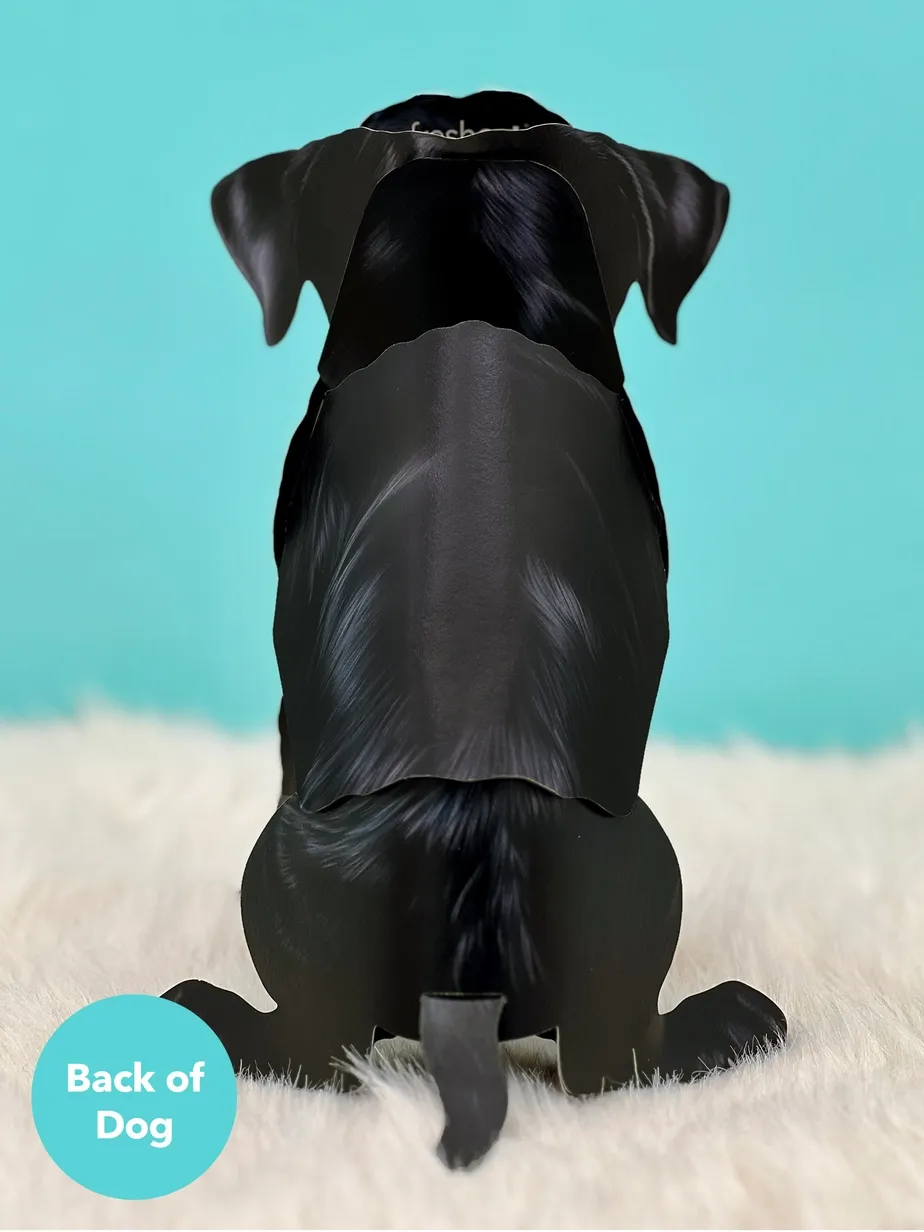 Pop-Up Pets Greeting Card / Click for Full Selection