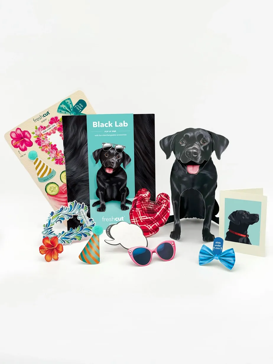 Pop-Up Pets Greeting Card / Click for Full Selection