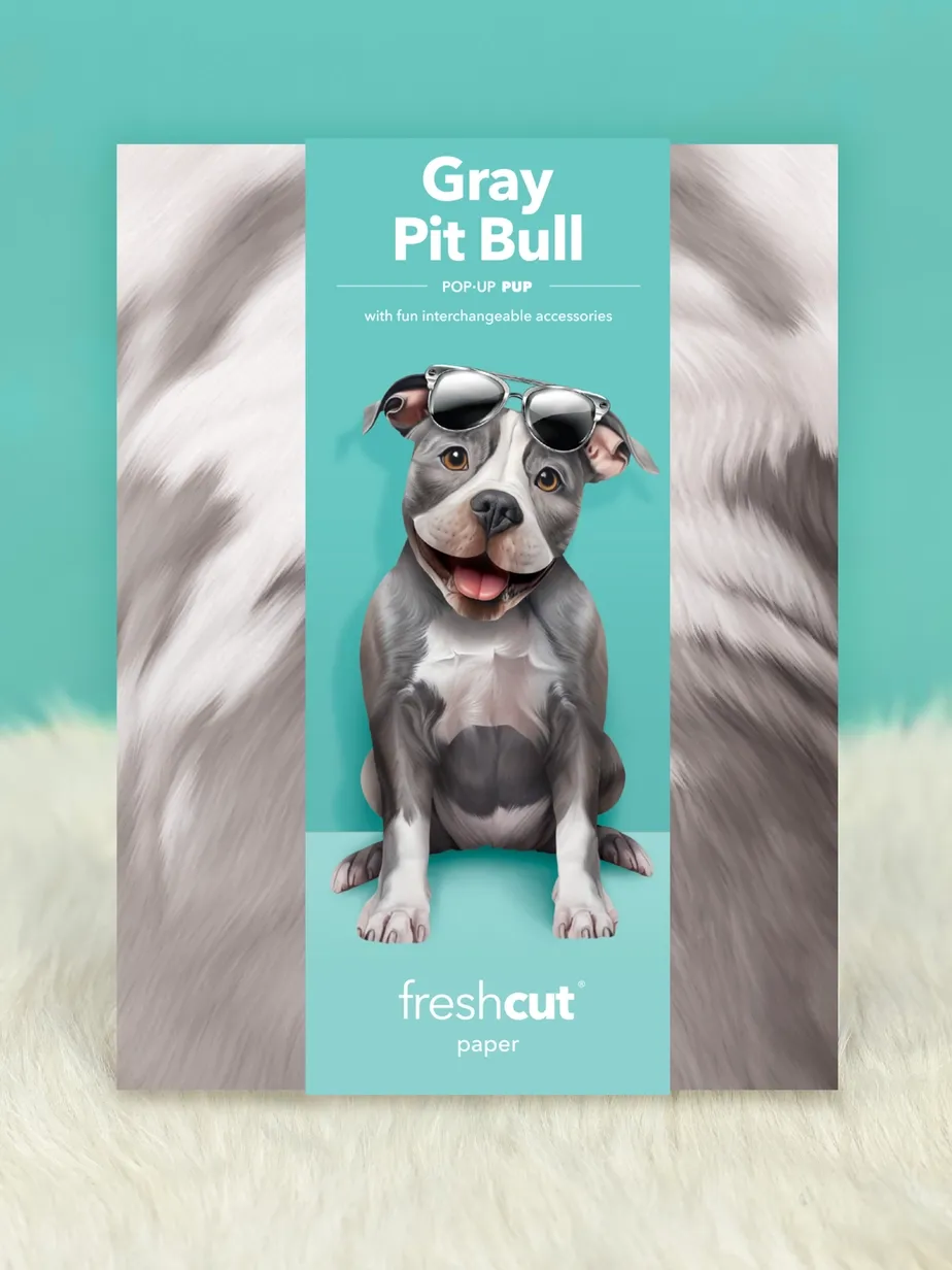 Pop-Up Pets Greeting Card / Click for Full Selection