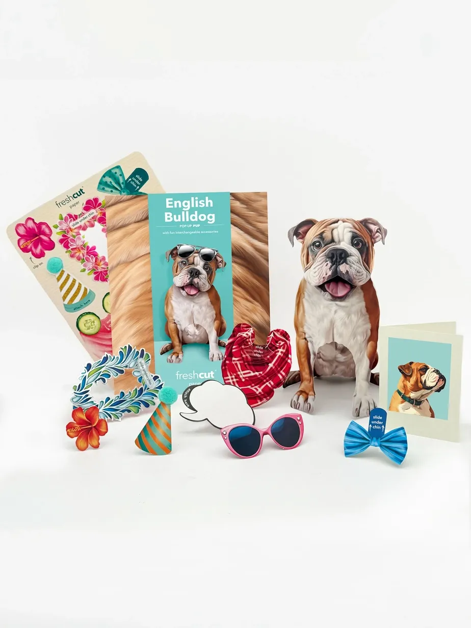 Pop-Up Pets Greeting Card / Click for Full Selection