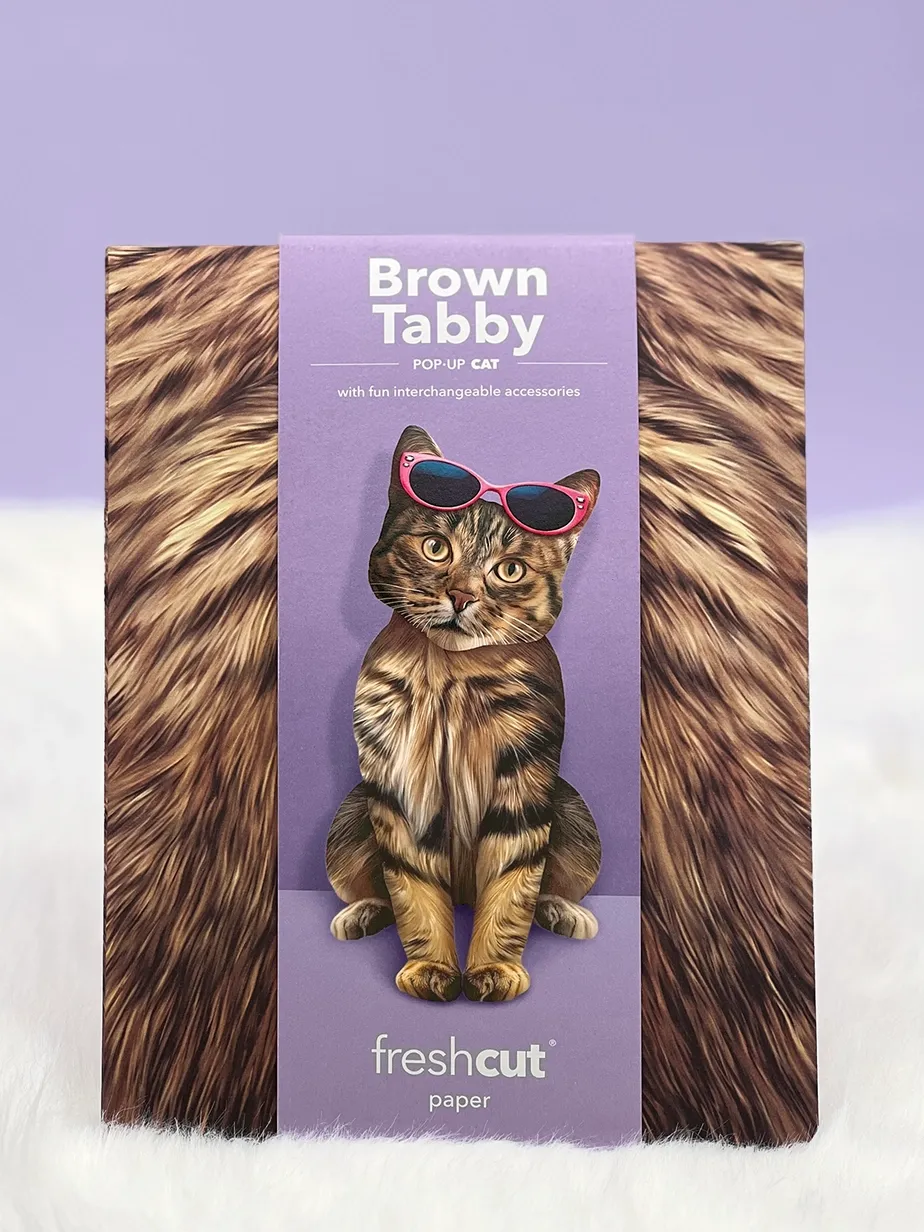 Pop-Up Pets Greeting Card / Click for Full Selection