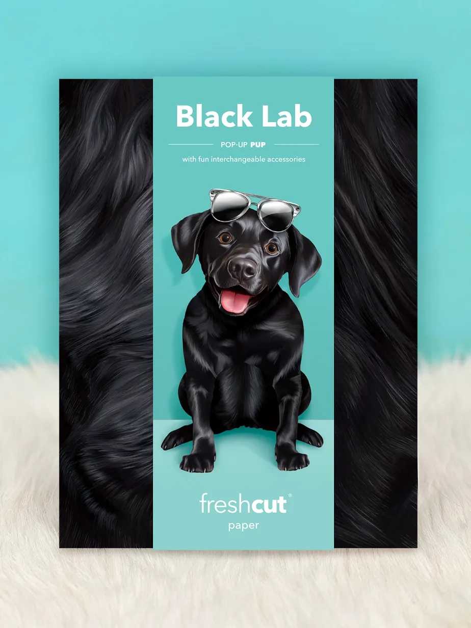 Pop-Up Pets Greeting Card / Click for Full Selection