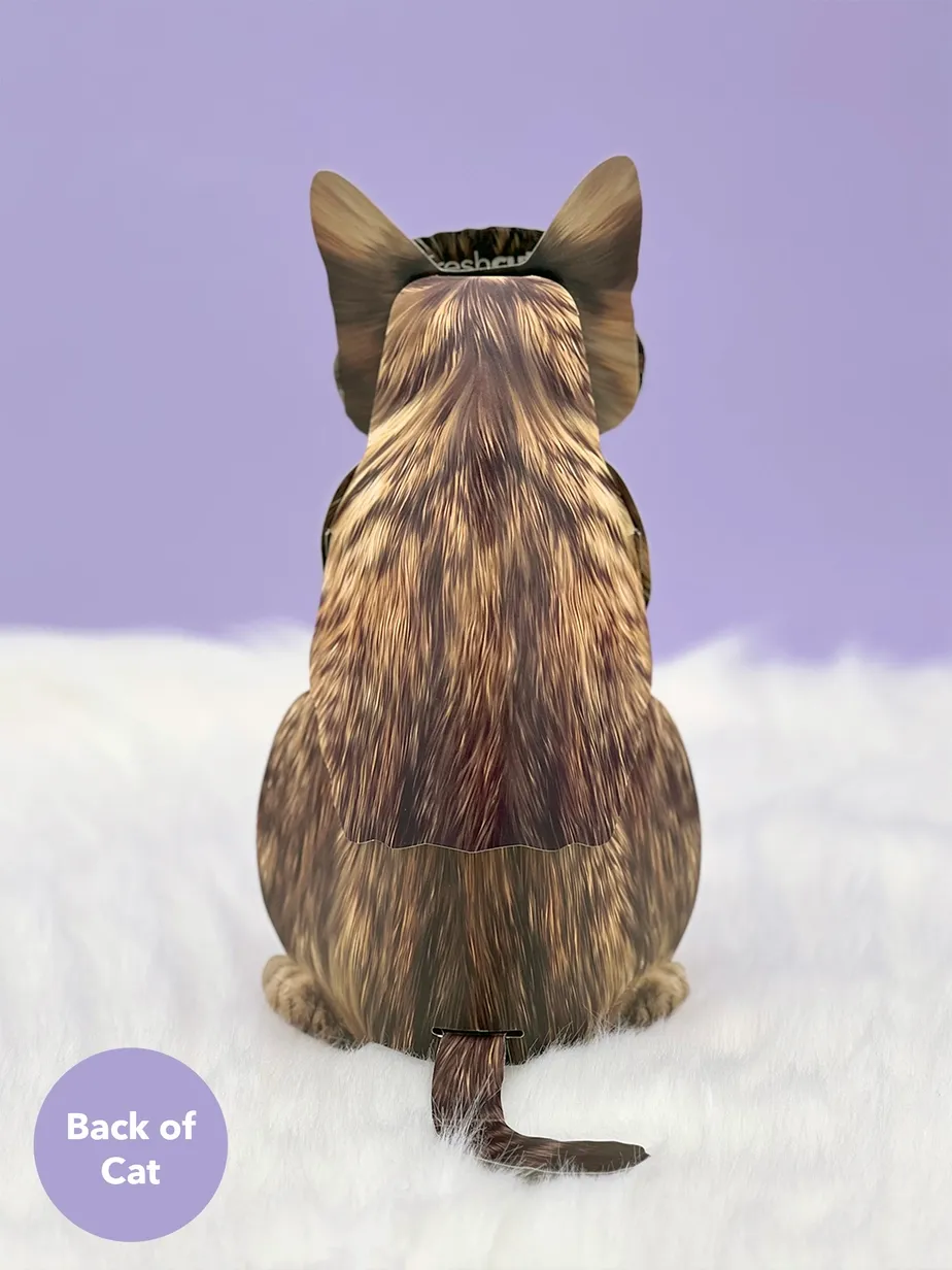 Pop-Up Pets Greeting Card / Click for Full Selection