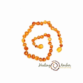 Raw Baltic Amber Teething Necklace - 11 inch