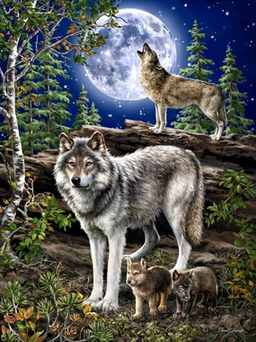 Springbok Wolf Pack 500 Piece Jigsaw Puzzle- Step Into The Wild on A Moonlit Night with This Magical Wolf Pack